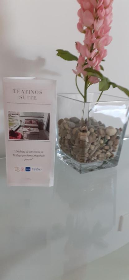 Teatinos Suite Малага Экстерьер фото